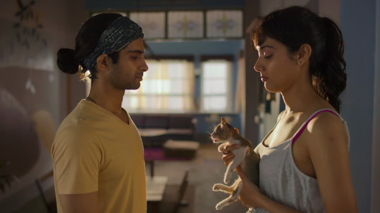 Max, Min & Meowzaki: Movie Preview & First Look
