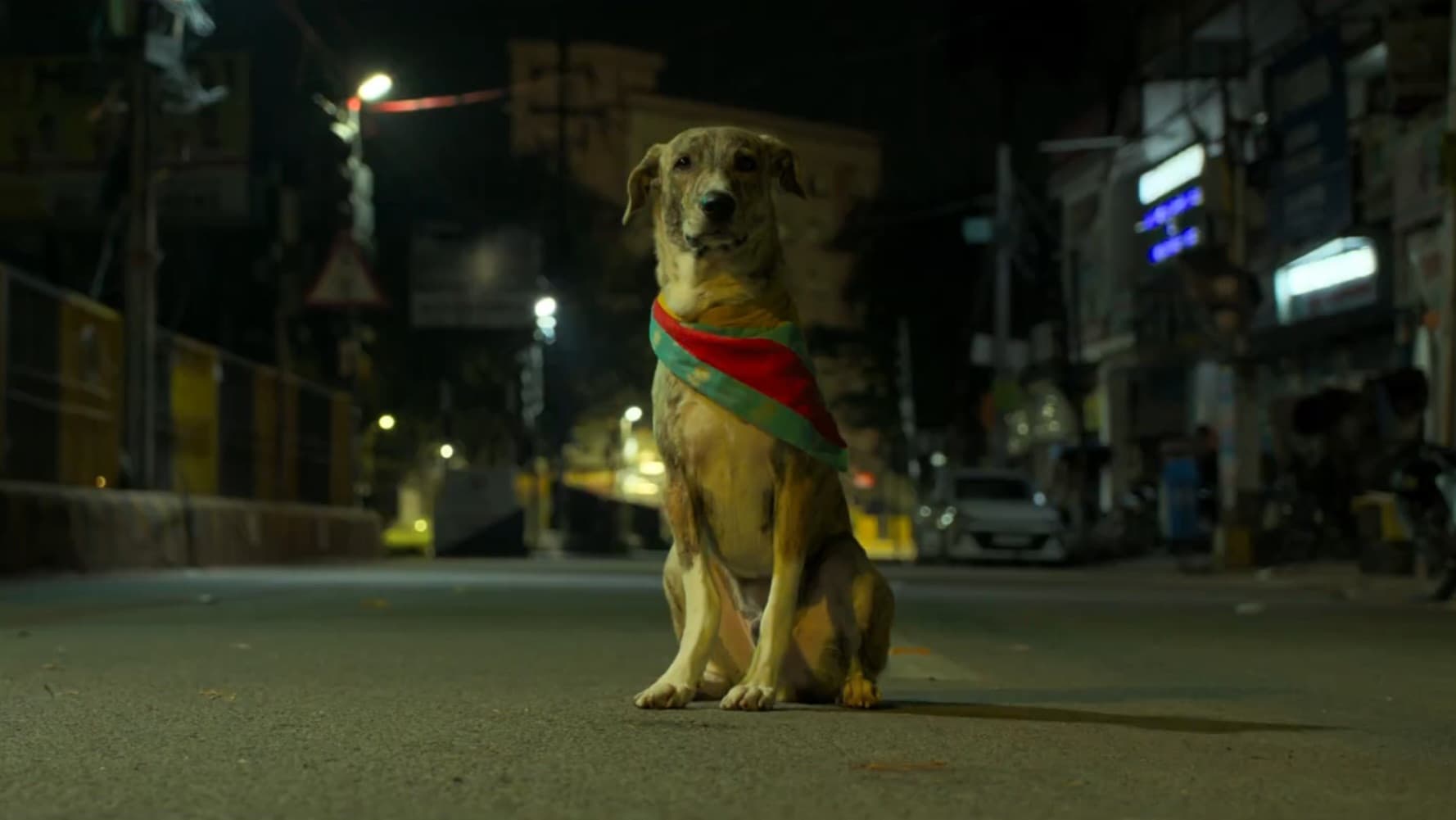 Ohh My Dog Movie Preview: What to Expect
