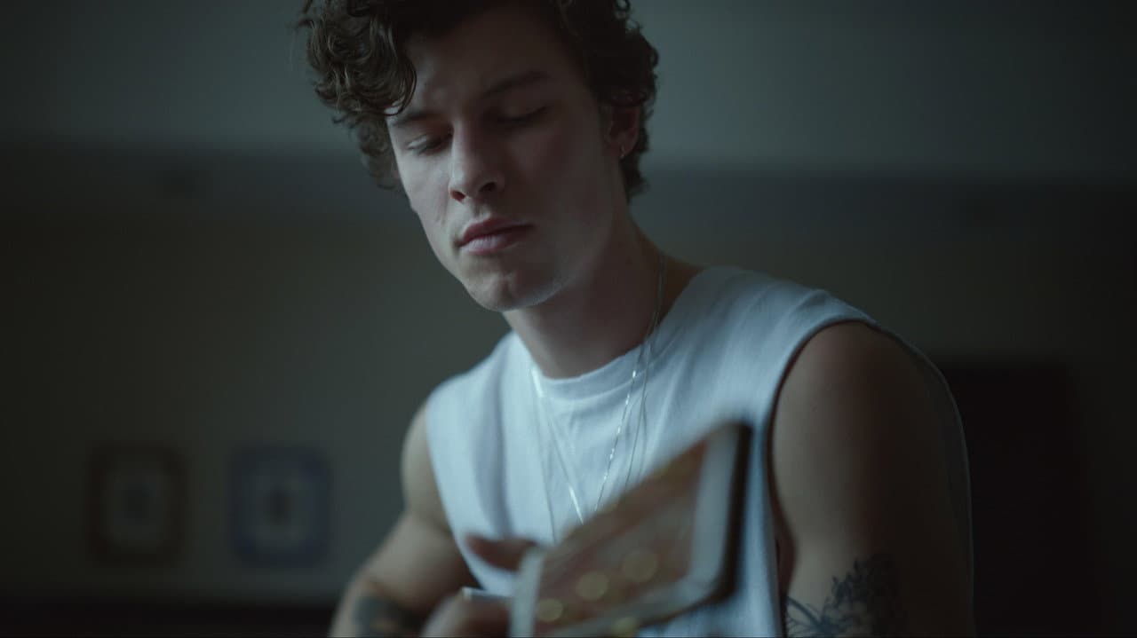 Shawn Mendes: In Wonder still 5