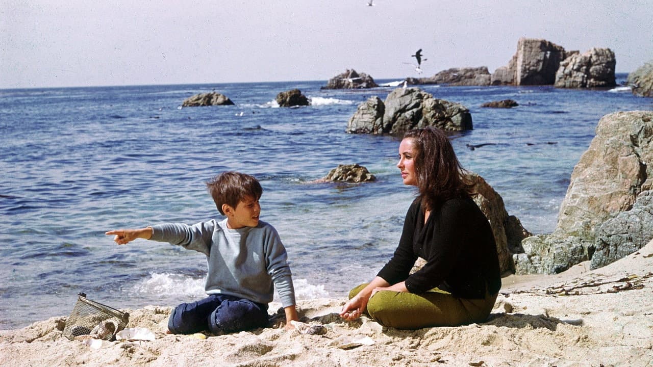 The Sandpiper still 6