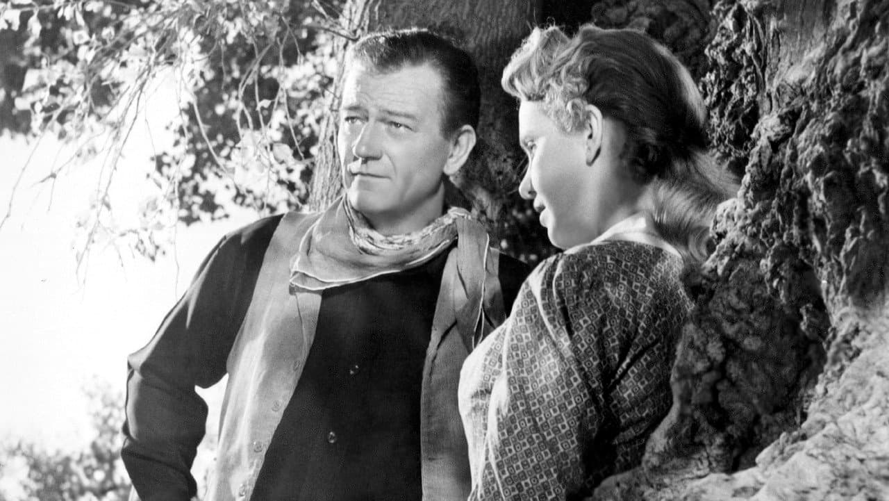 Hondo still 3