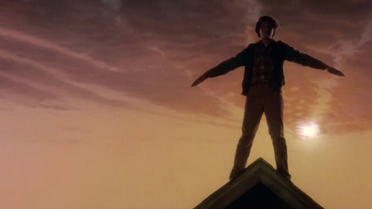 The Boy Who Could Fly still 2
