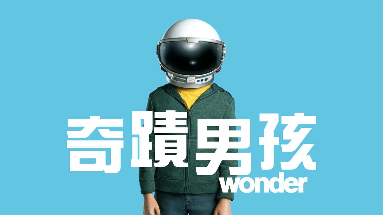 Wonder still 7