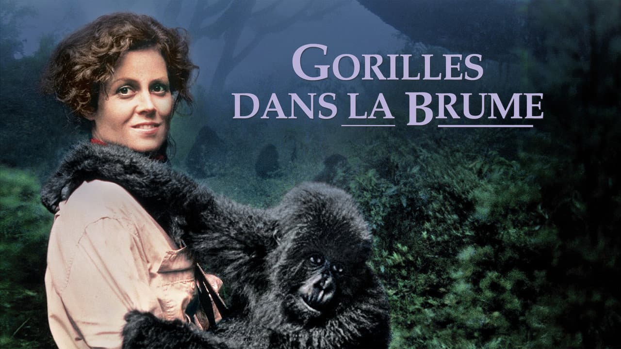 Gorillas in the Mist still 8