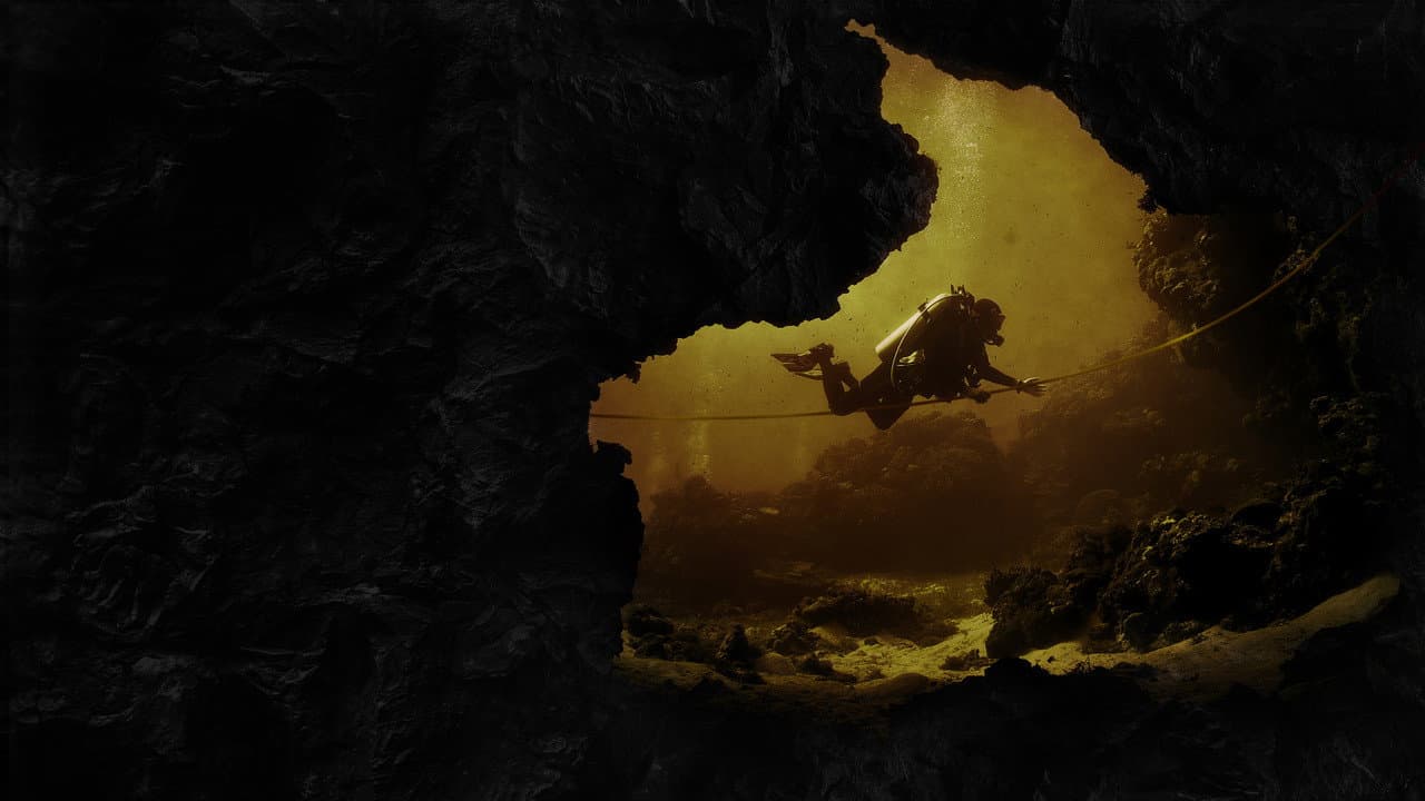 The Rescue still 2