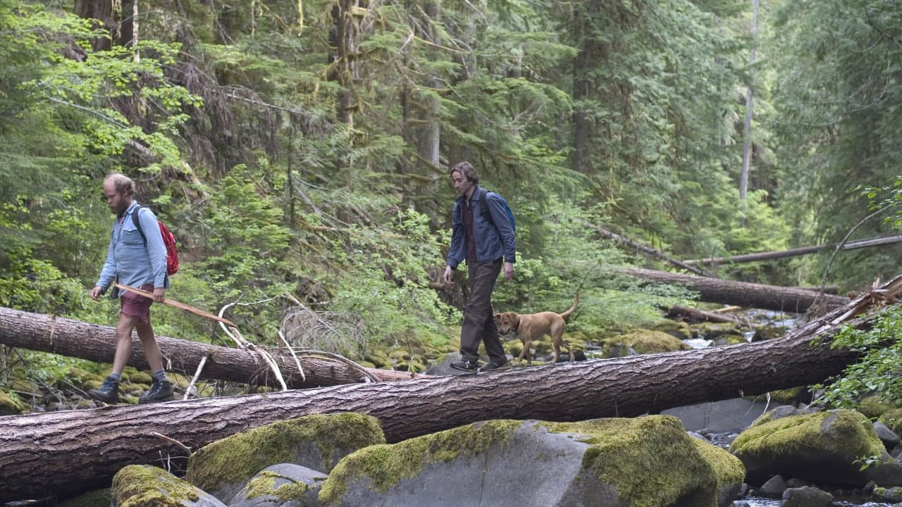 Old Joy still 3