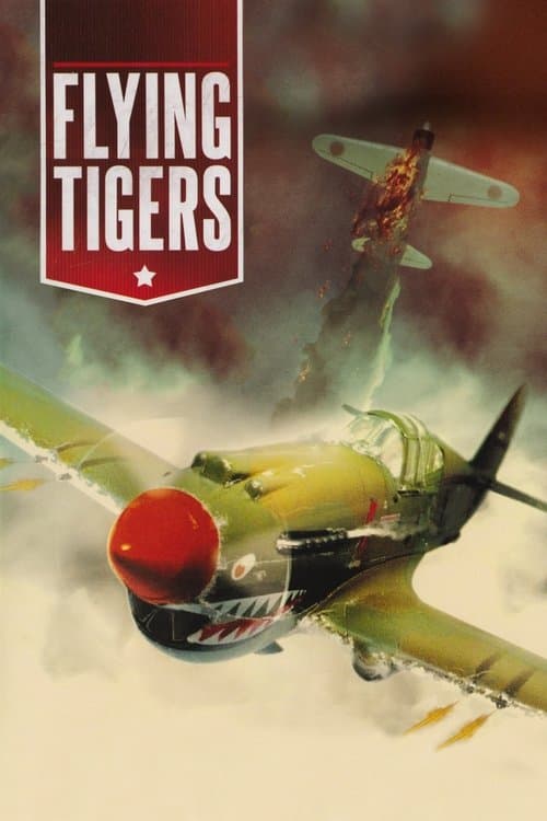 Flying Tigers still 4