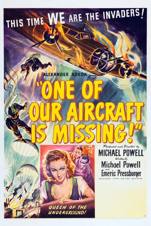 One of Our Aircraft Is Missing still 6