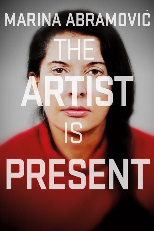Marina Abramović: The Artist Is Present still 7