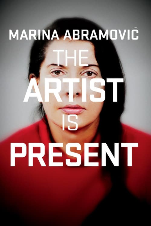Marina Abramović: The Artist Is Present still 8