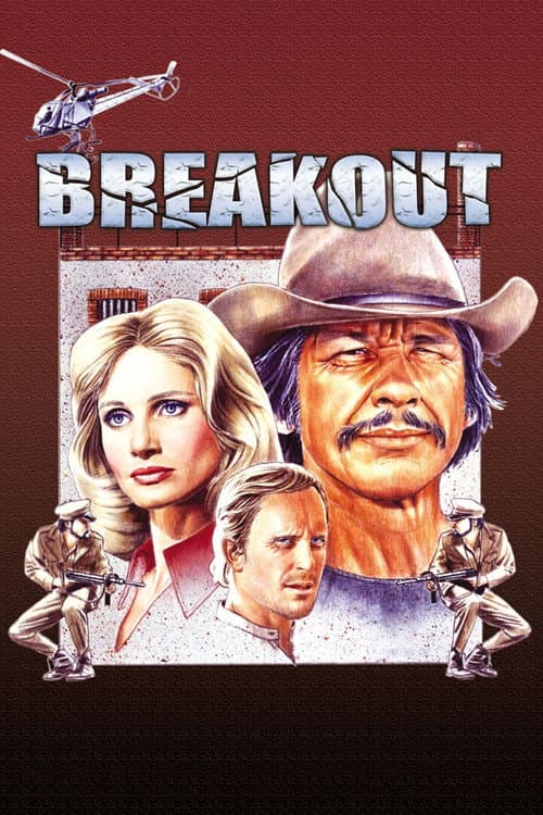 Breakout still 6