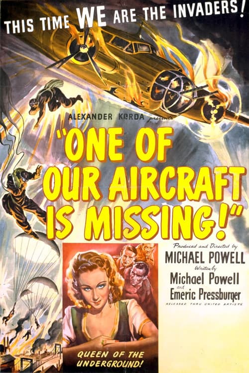 One of Our Aircraft Is Missing still 5