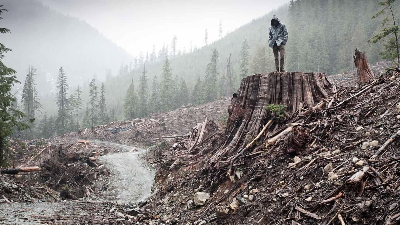If a Tree Falls: A Story of the Earth Liberation Front still 1