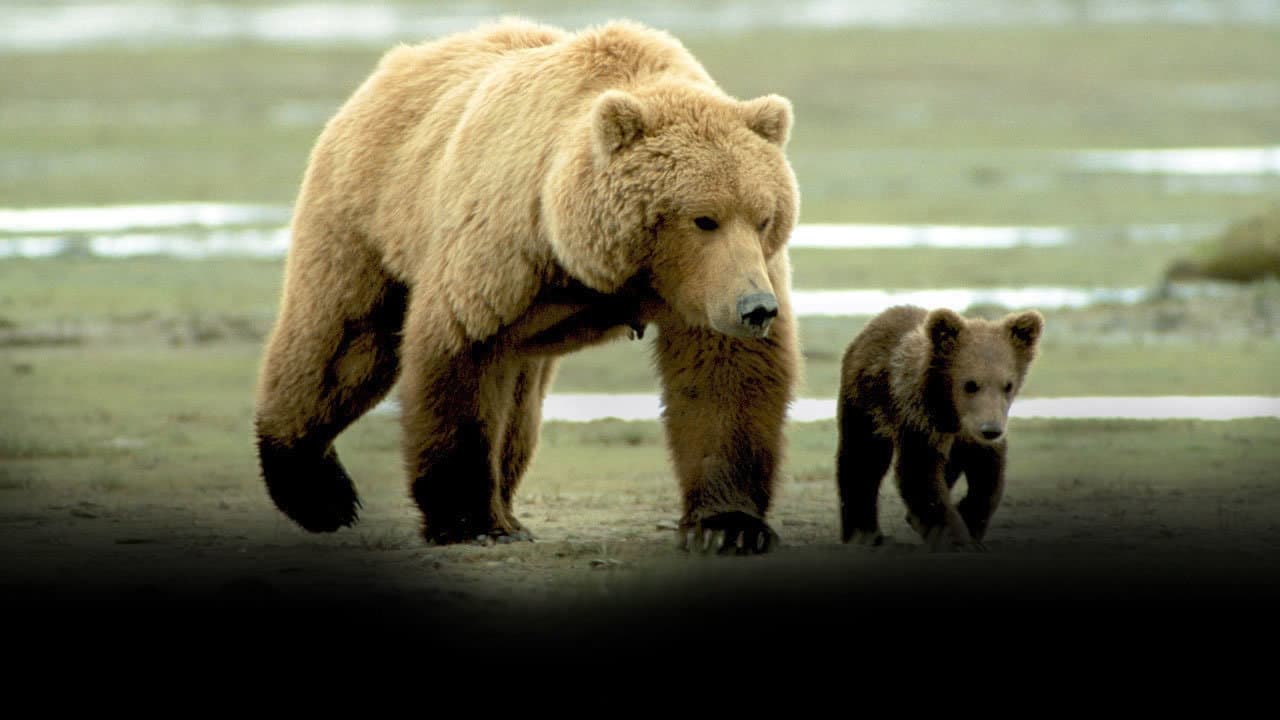 Grizzly Man still 7