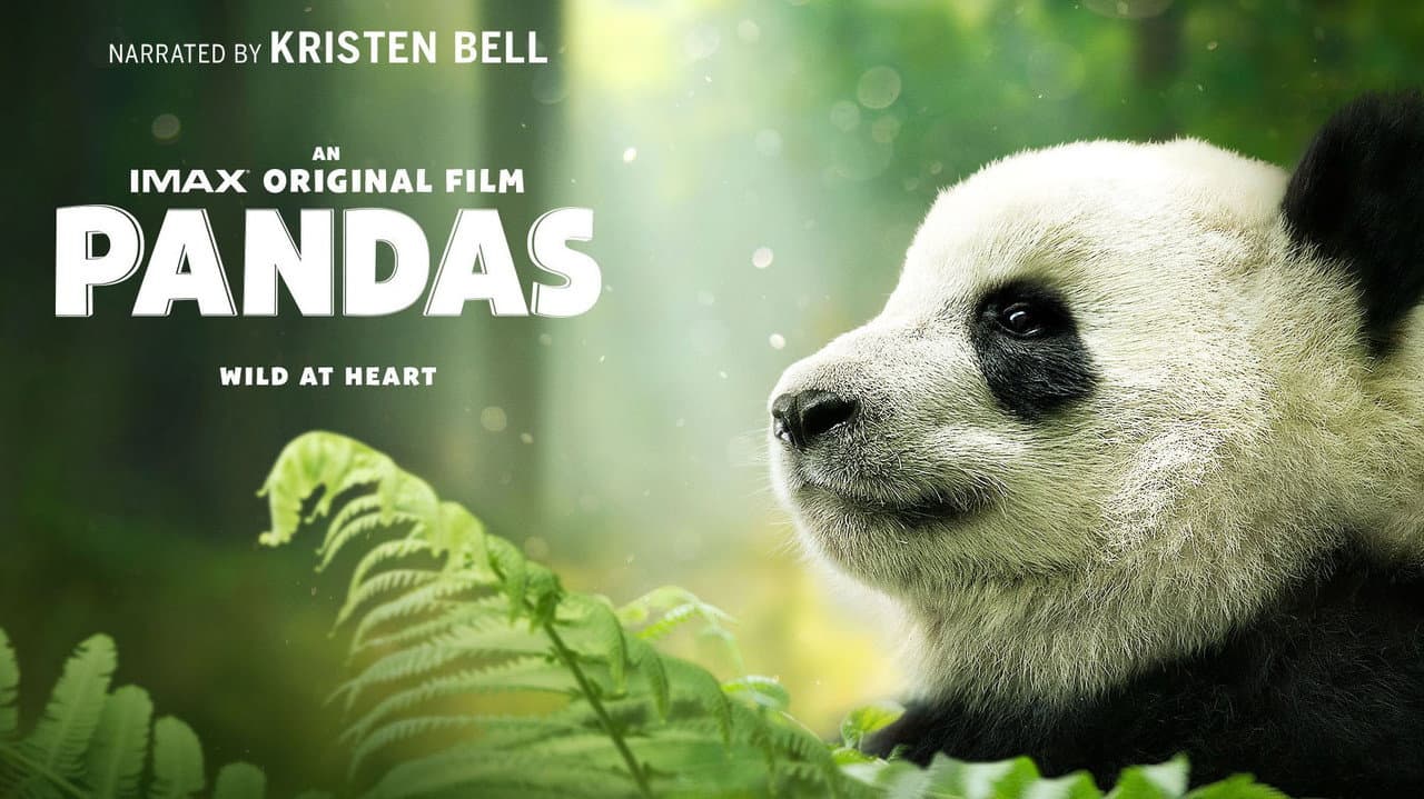 Pandas still 3