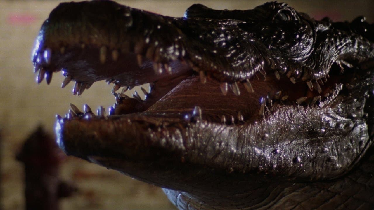 Alligator still 1