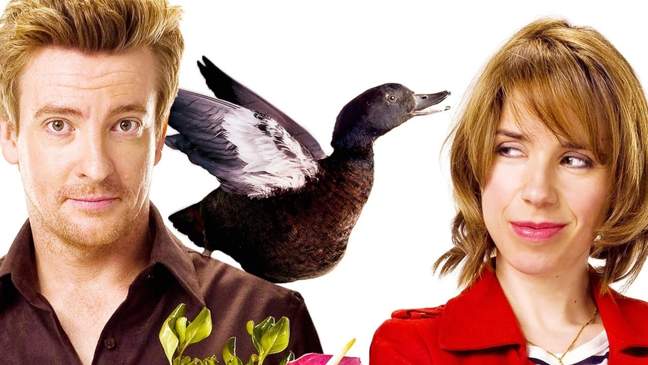 Love Birds still 1