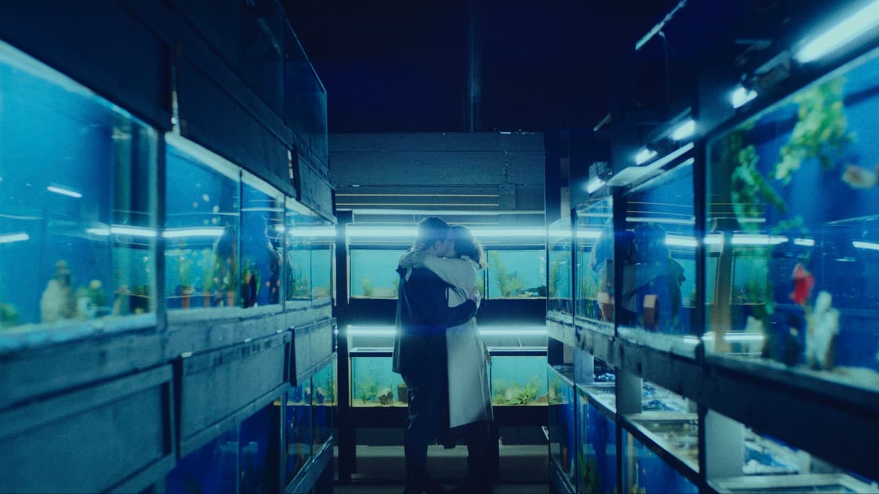 Little Fish still 5