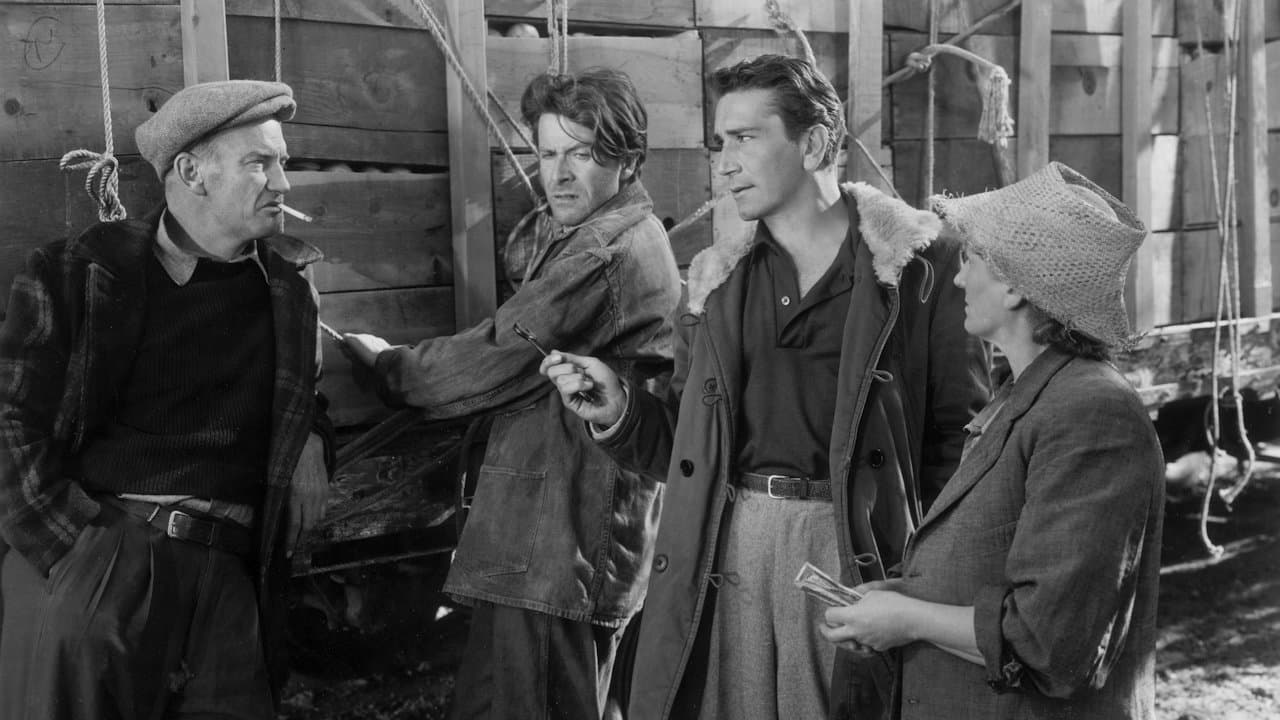 Thieves' Highway still 4