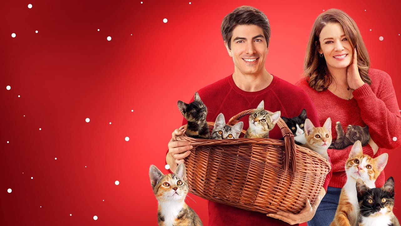 The Nine Kittens of Christmas still 5