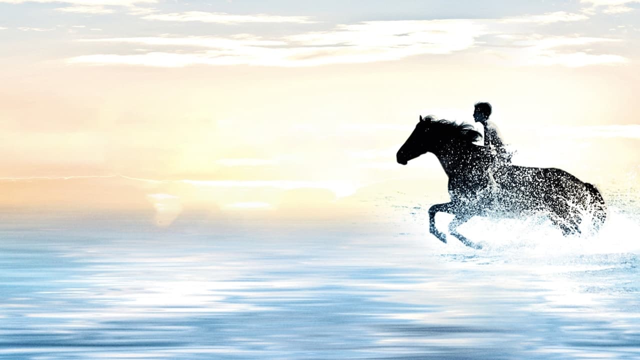 The Black Stallion still 1