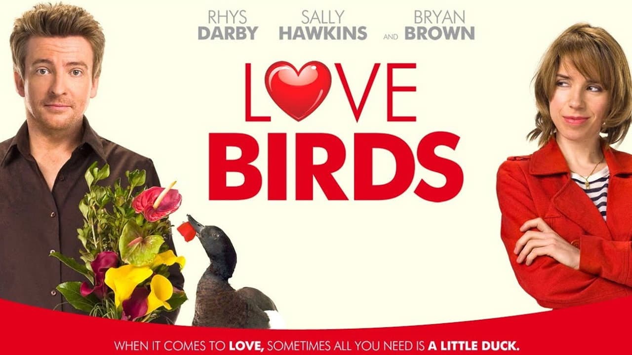 Love Birds still 2