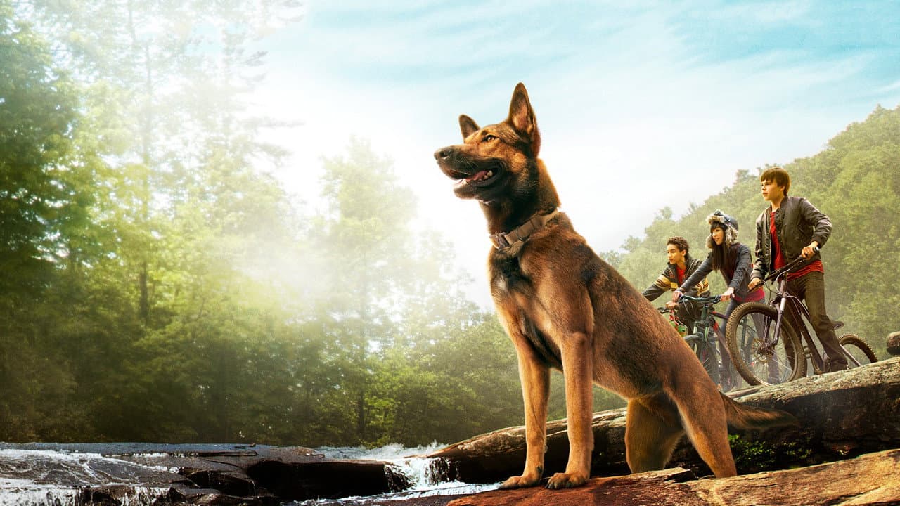 Max still 1