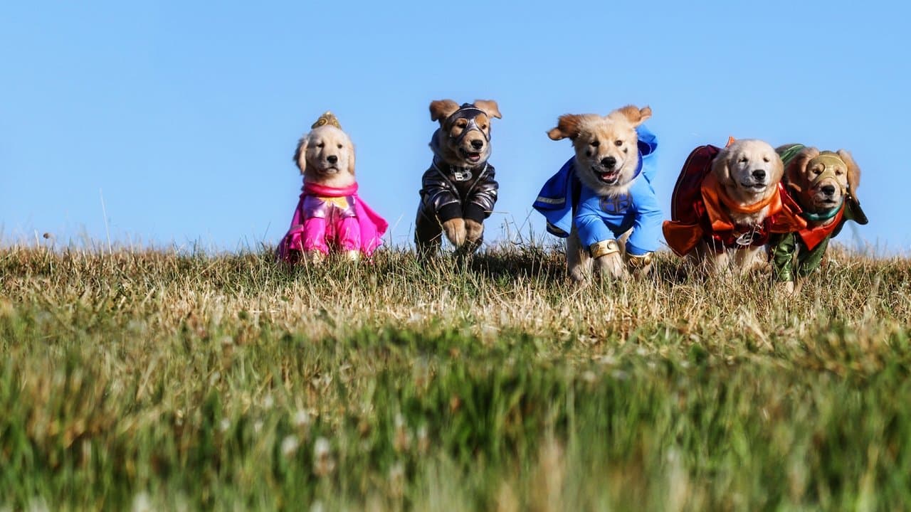 Super Buddies still 1