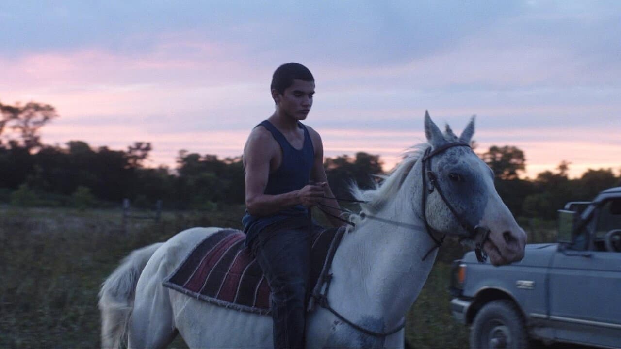 Songs My Brothers Taught Me still 7