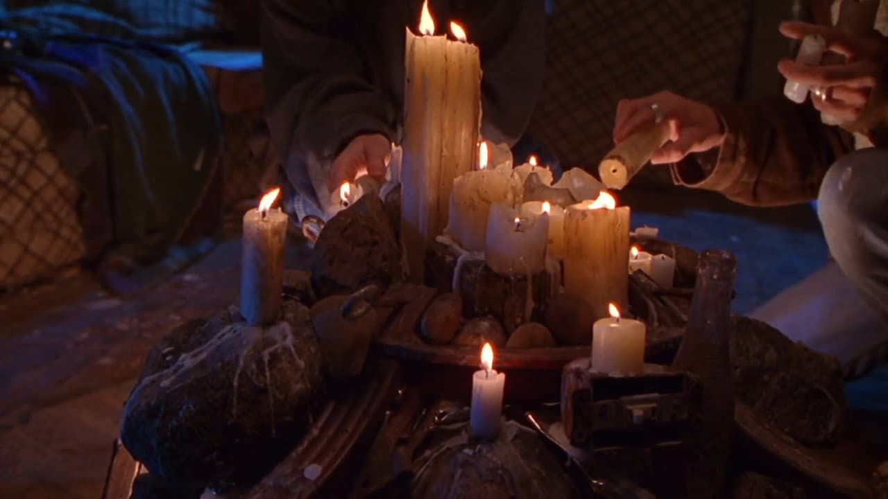 Foxfire still 5