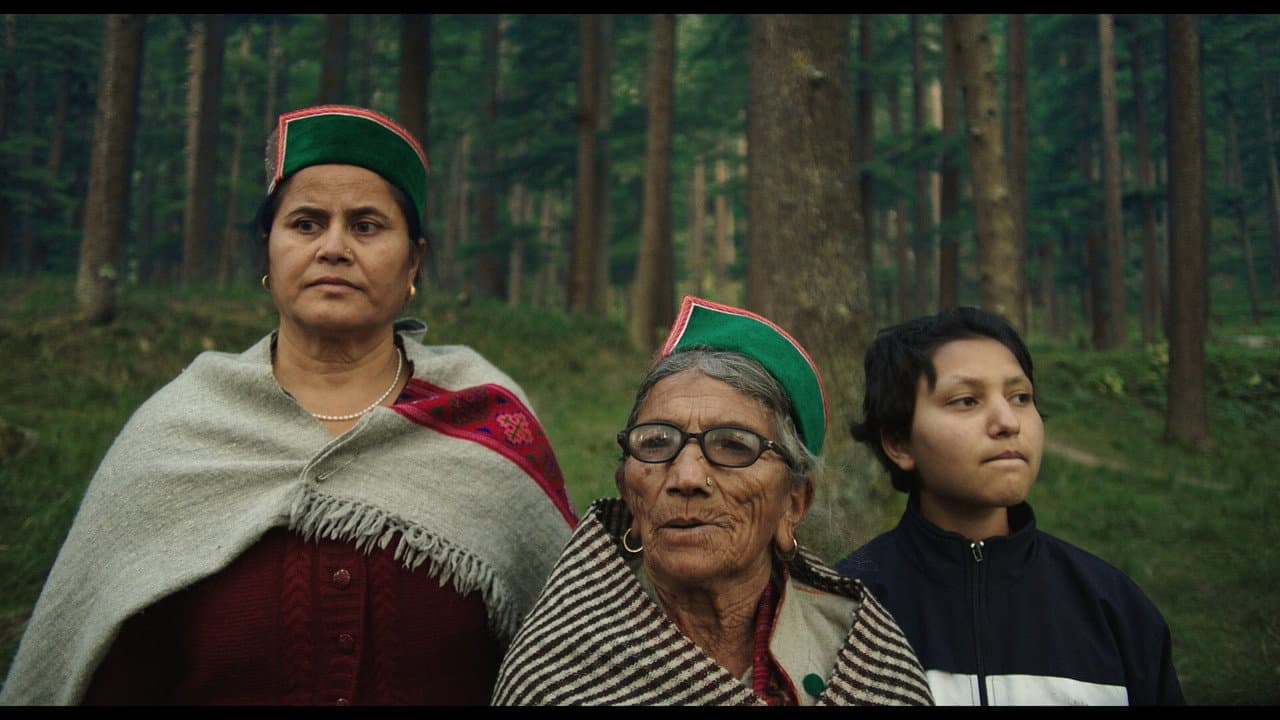 Tenfa: 2026 Hindi Drama Film Preview & Release Date