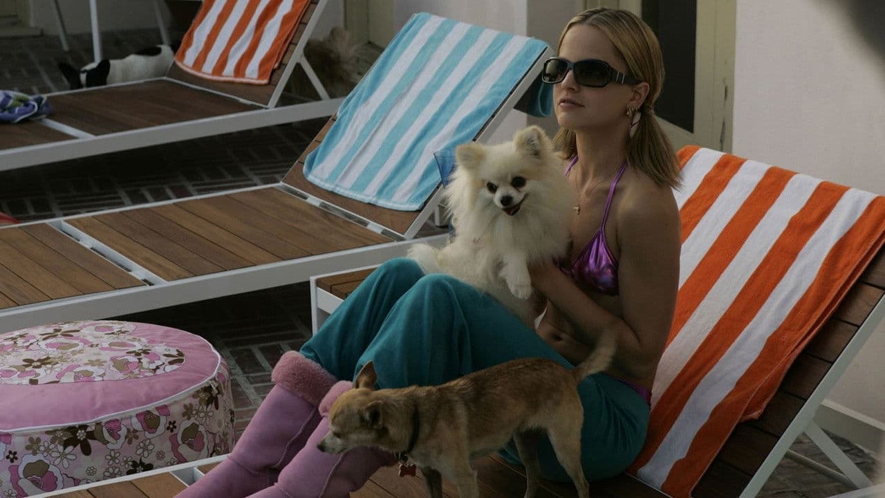 The Dog Problem still 1