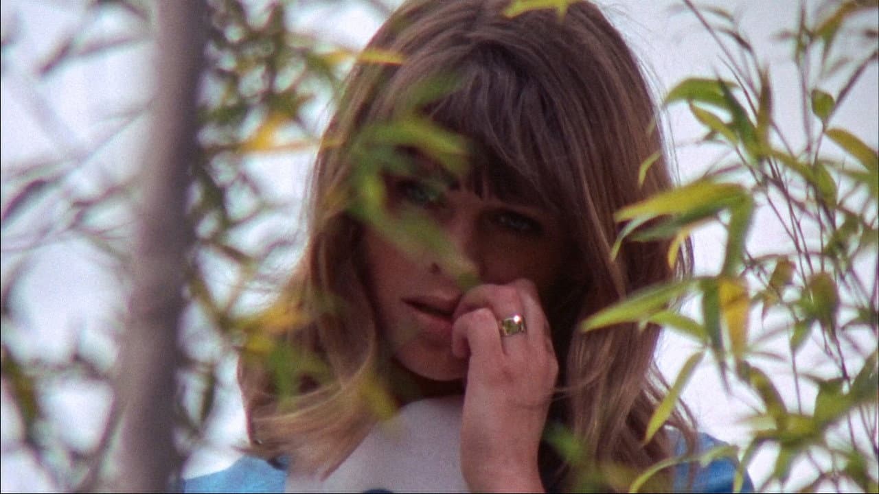 Petulia still 8