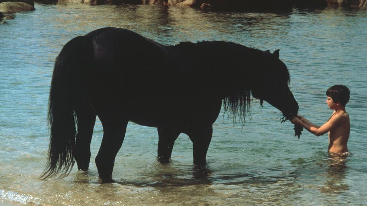 The Black Stallion still 4