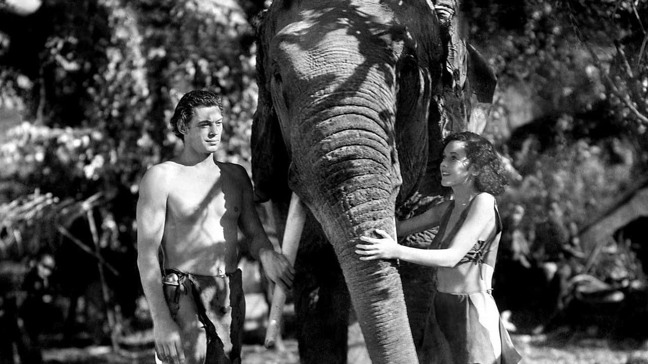 Tarzan and His Mate still 1