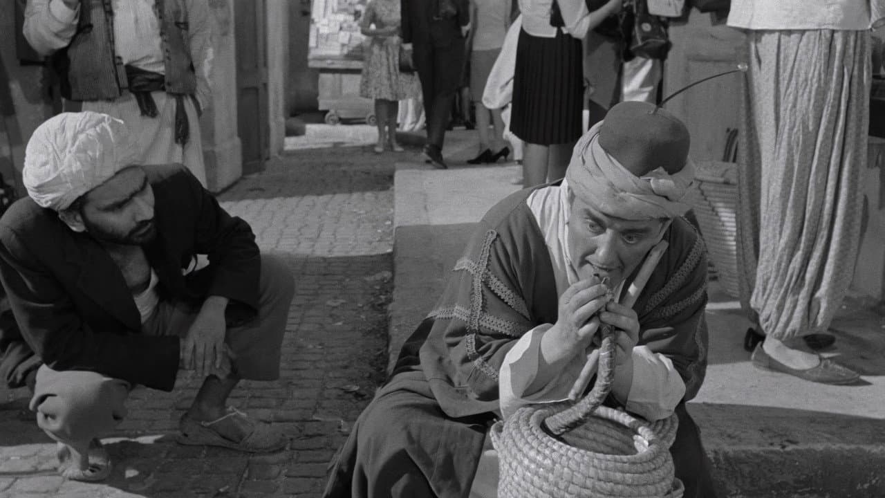 Carry On Spying still 6