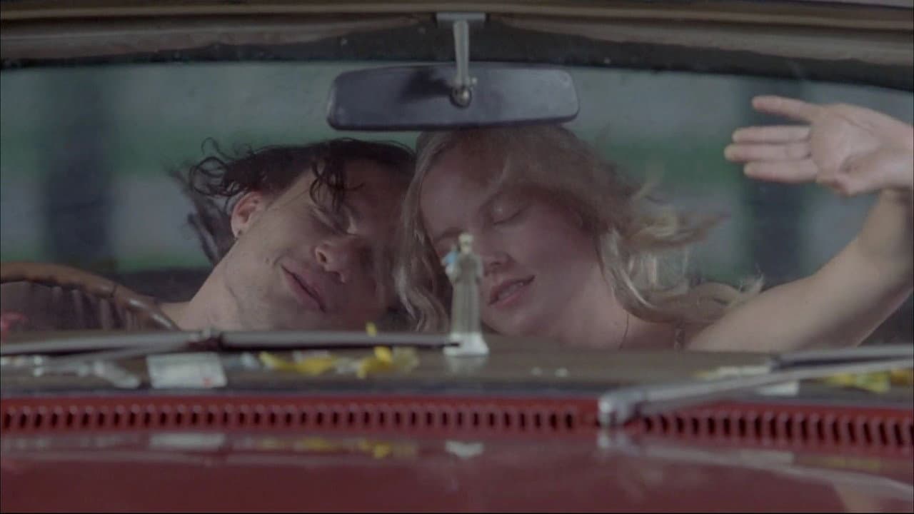 Candy still 5