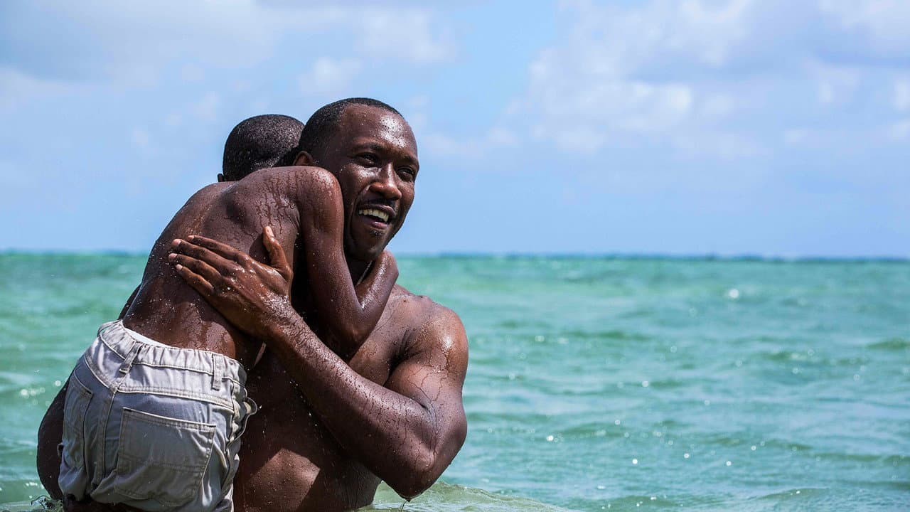 Moonlight still 8