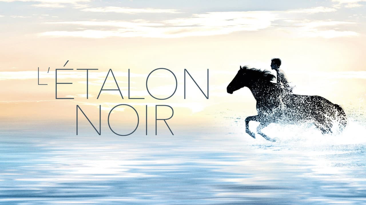 The Black Stallion still 7