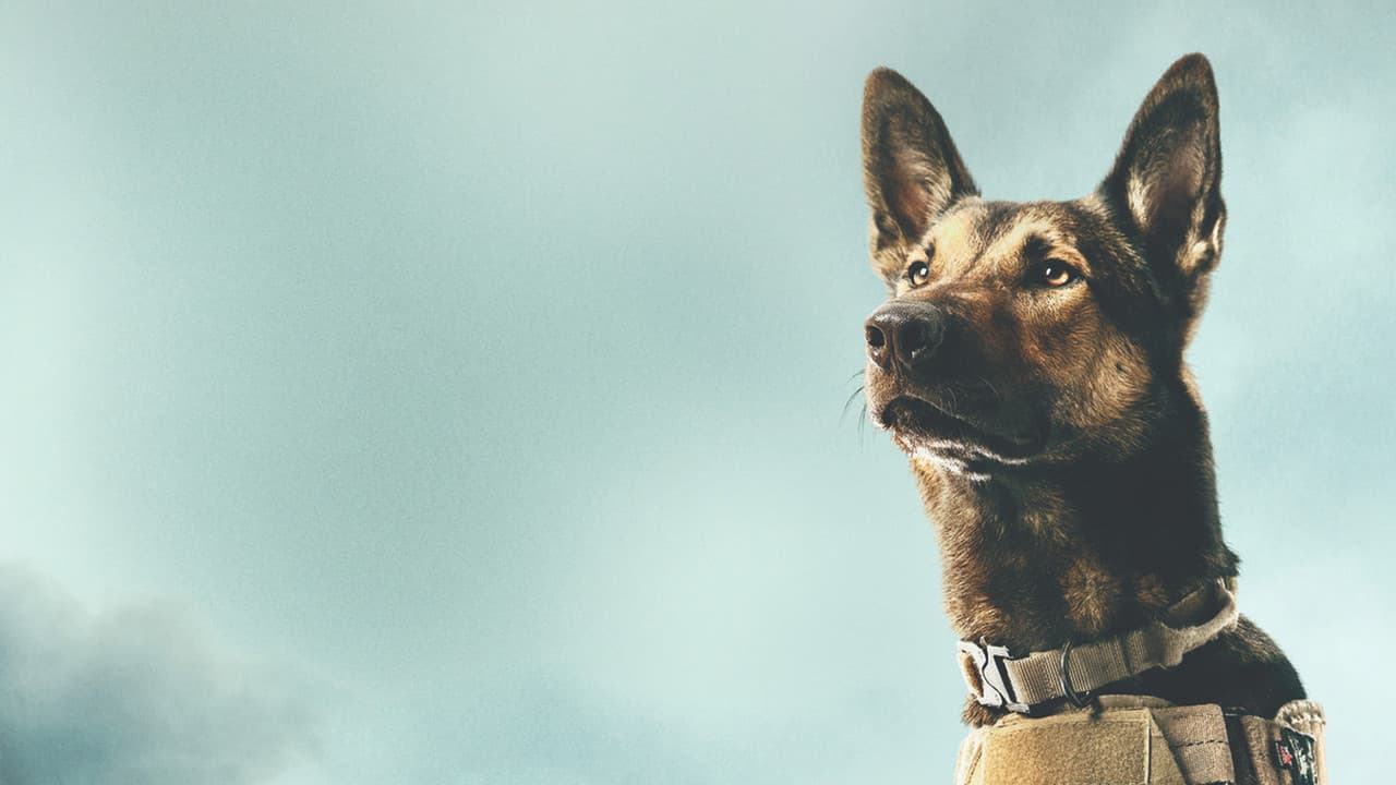 Max still 7