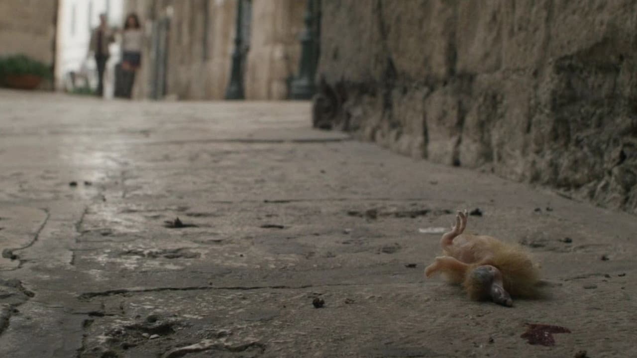 Spring still 7