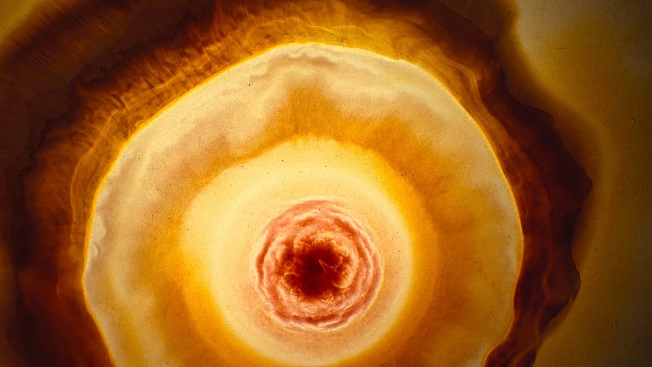 Voyage of Time: Life's Journey still 2