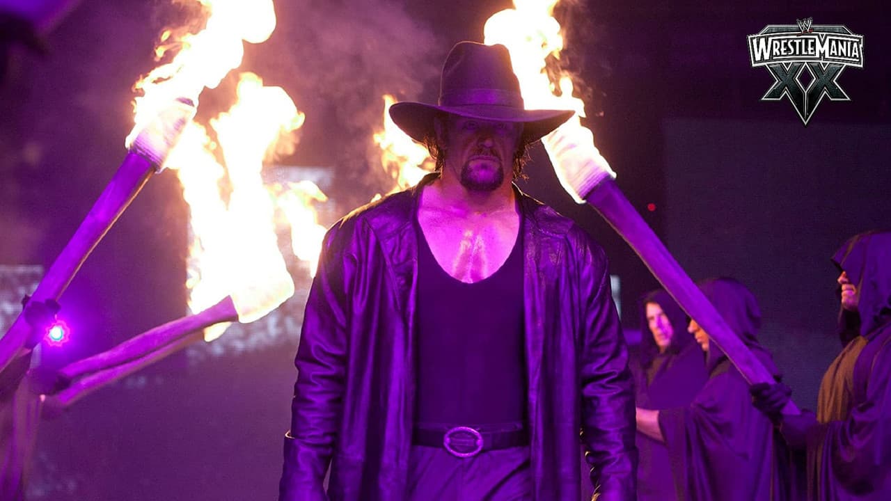 WWE WrestleMania XX still 3