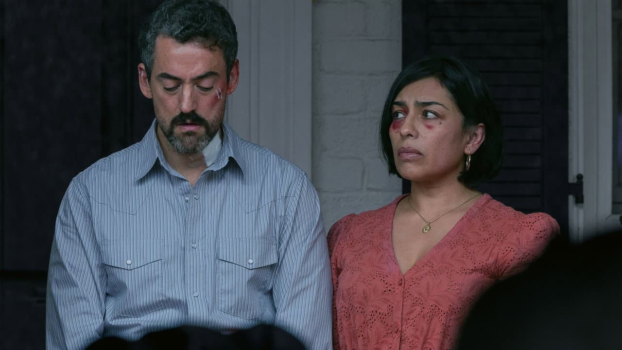 Animals still 3