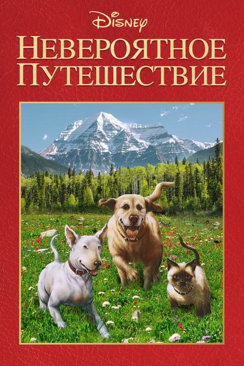 The Incredible Journey still 8