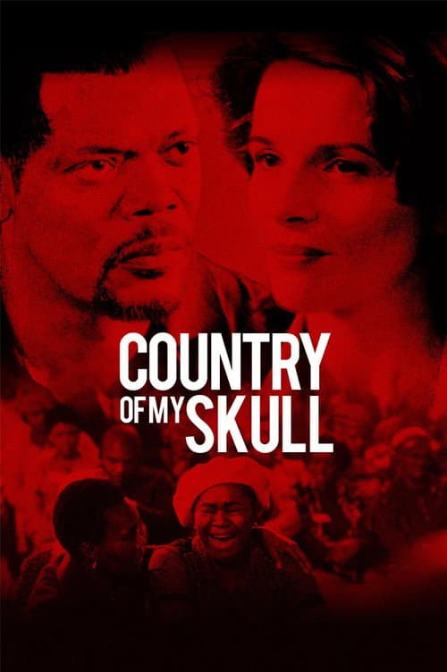 In My Country still 3