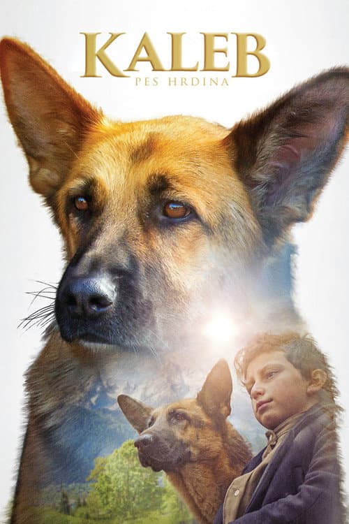 Shepherd: The Story of a Jewish Dog still 6