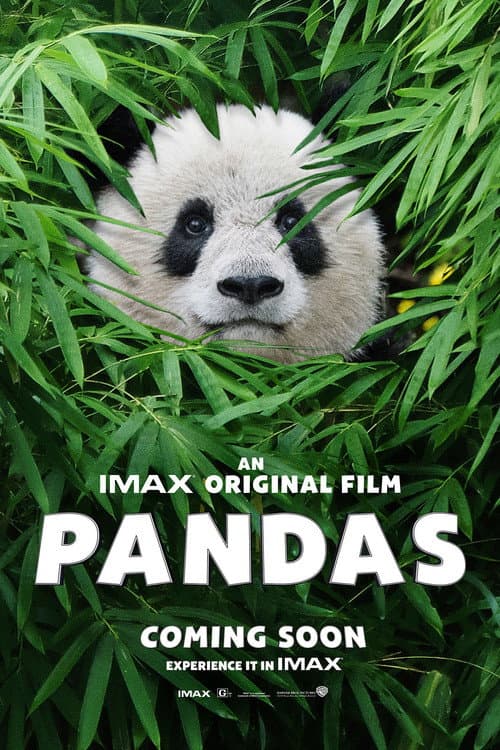 Pandas still 7