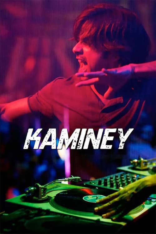 Kaminey still 6