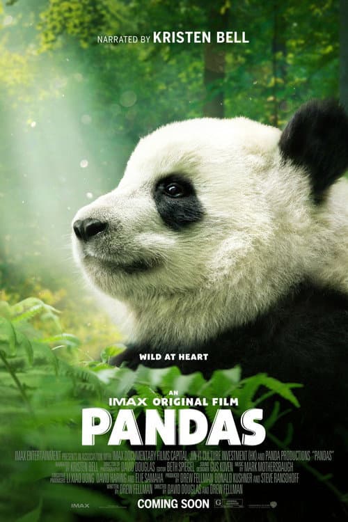 Pandas still 8
